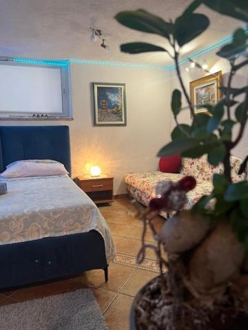 Taverna Coctel Apartman *